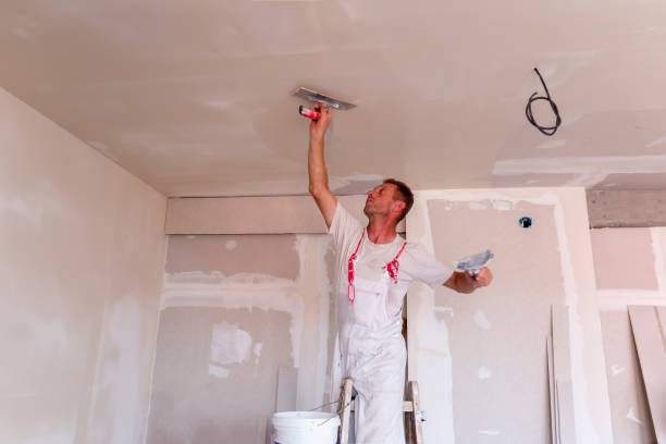 Reliable Mason, MI Painting Solutions